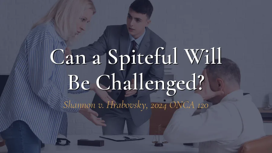 Can a Spiteful Will Be Challenged for Lack of Capacity in Ontario?